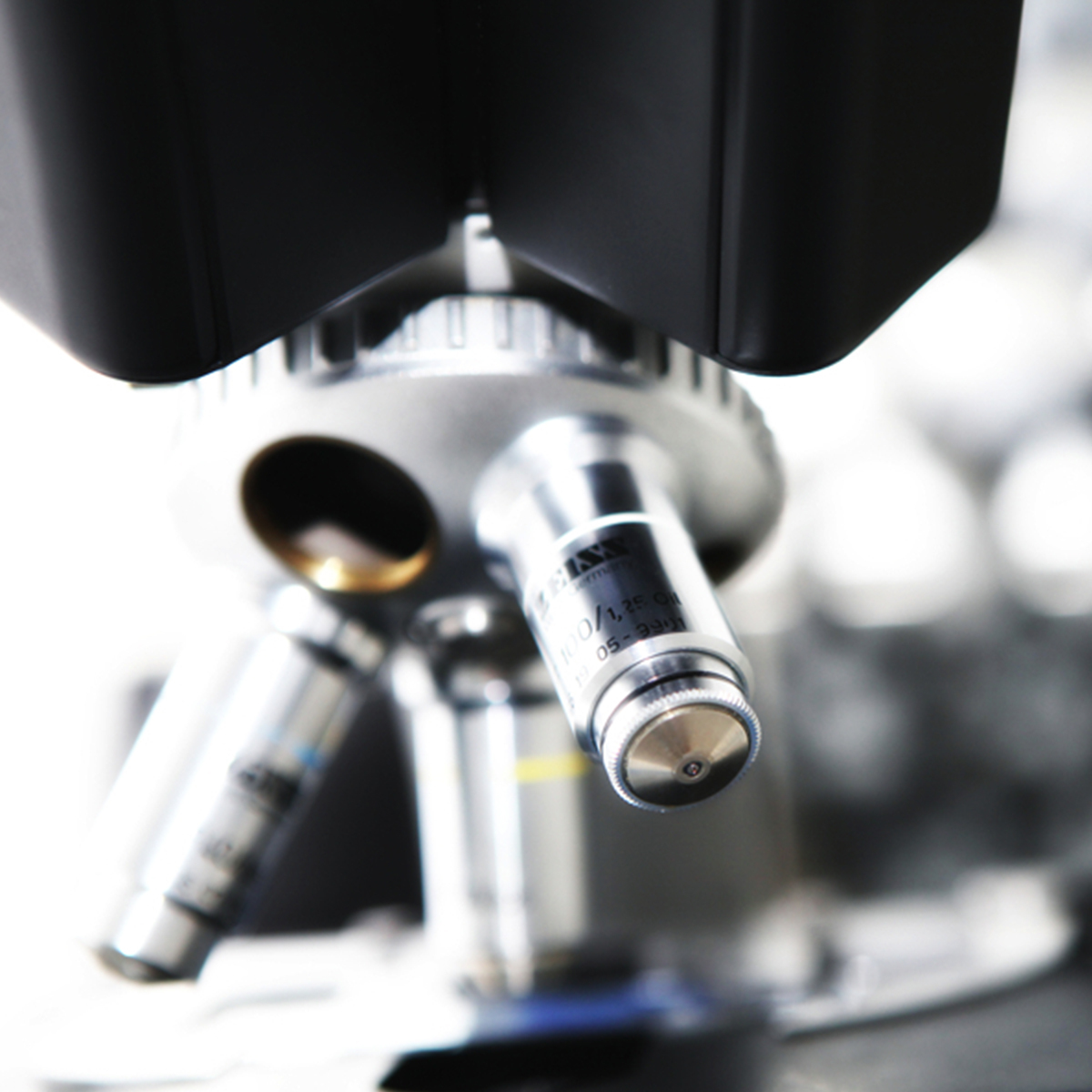 microscope